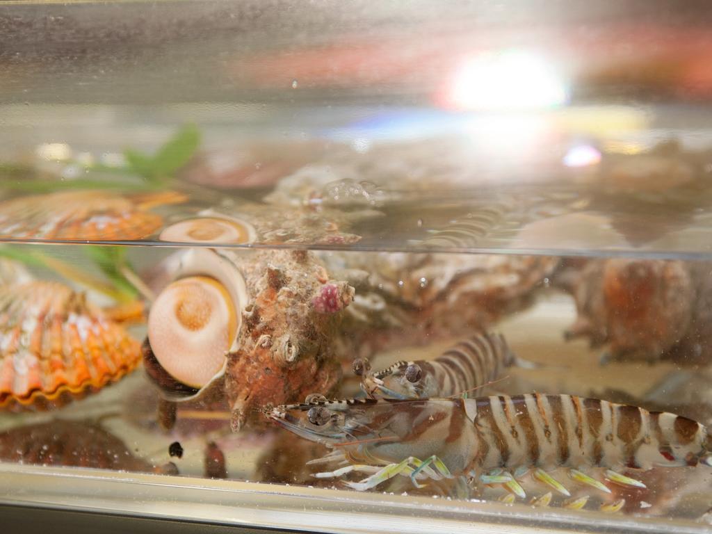 View Hotel Iki Ngoại thất bức ảnh