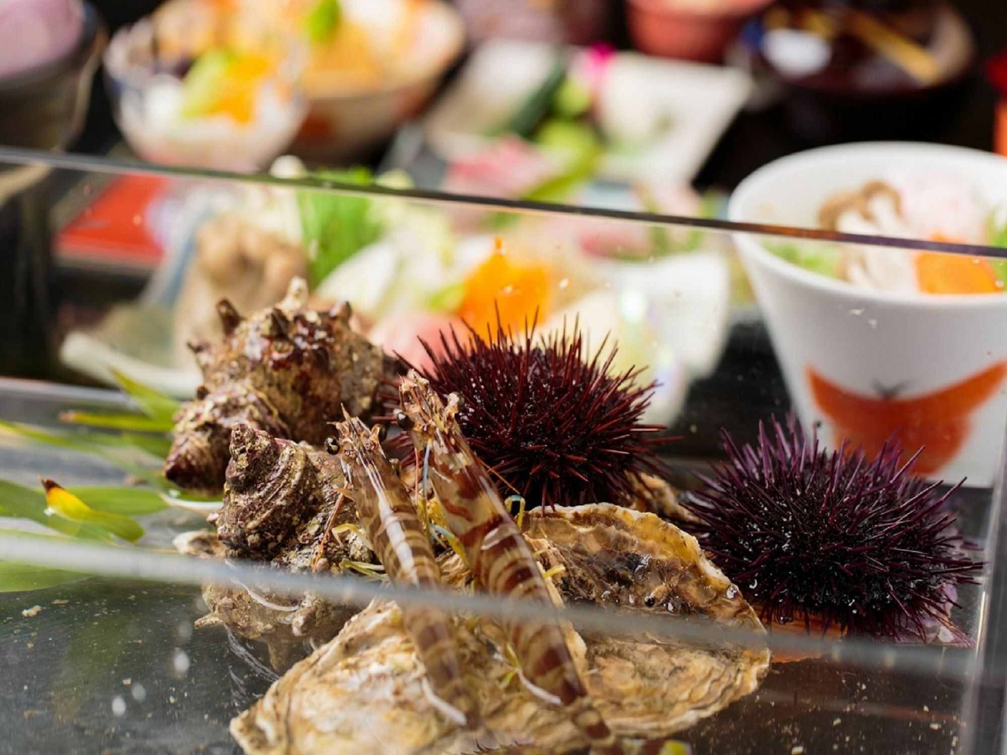 View Hotel Iki Ngoại thất bức ảnh